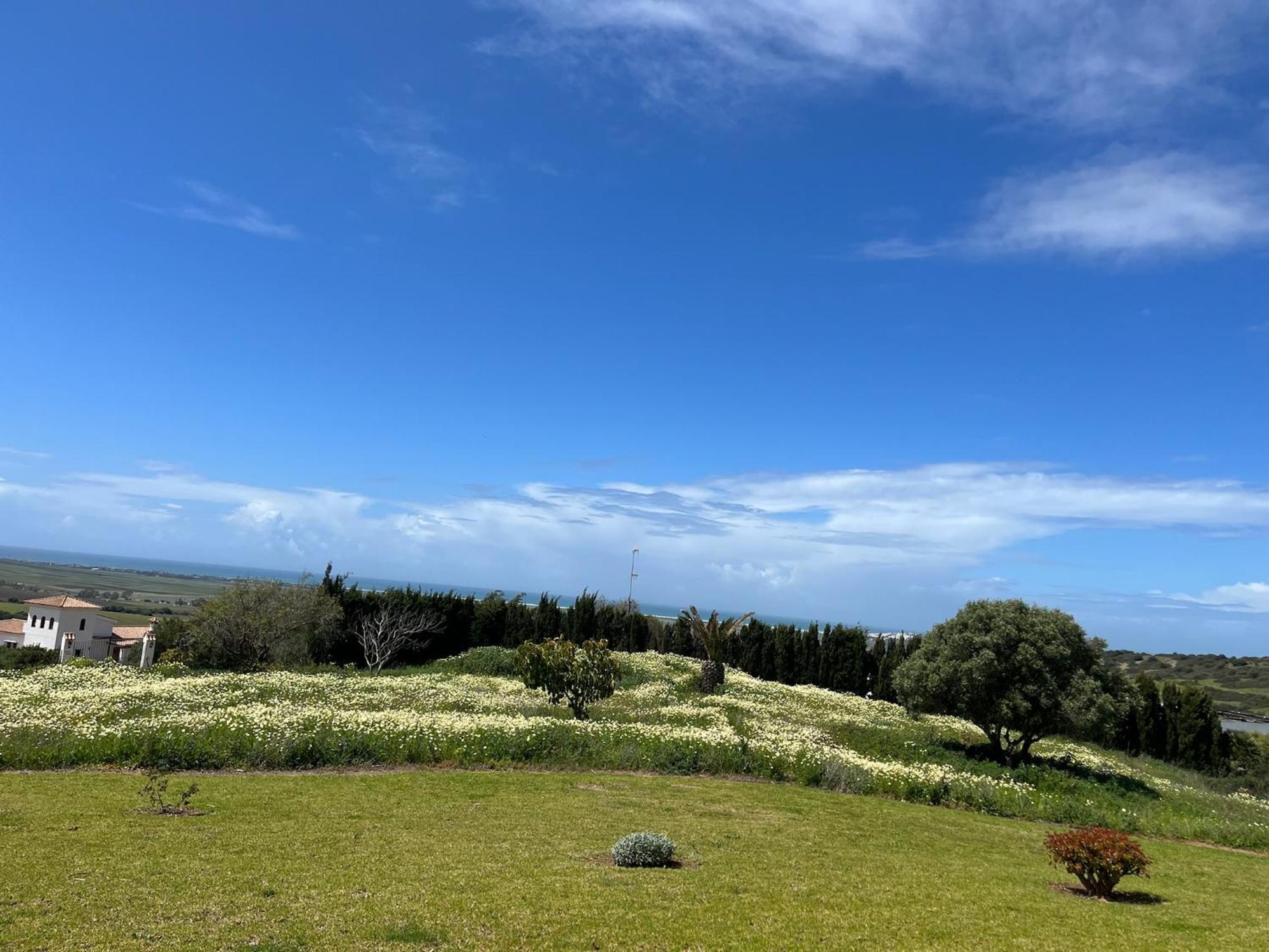 Finca La Vina Villa Vejer de la Frontera Buitenkant foto