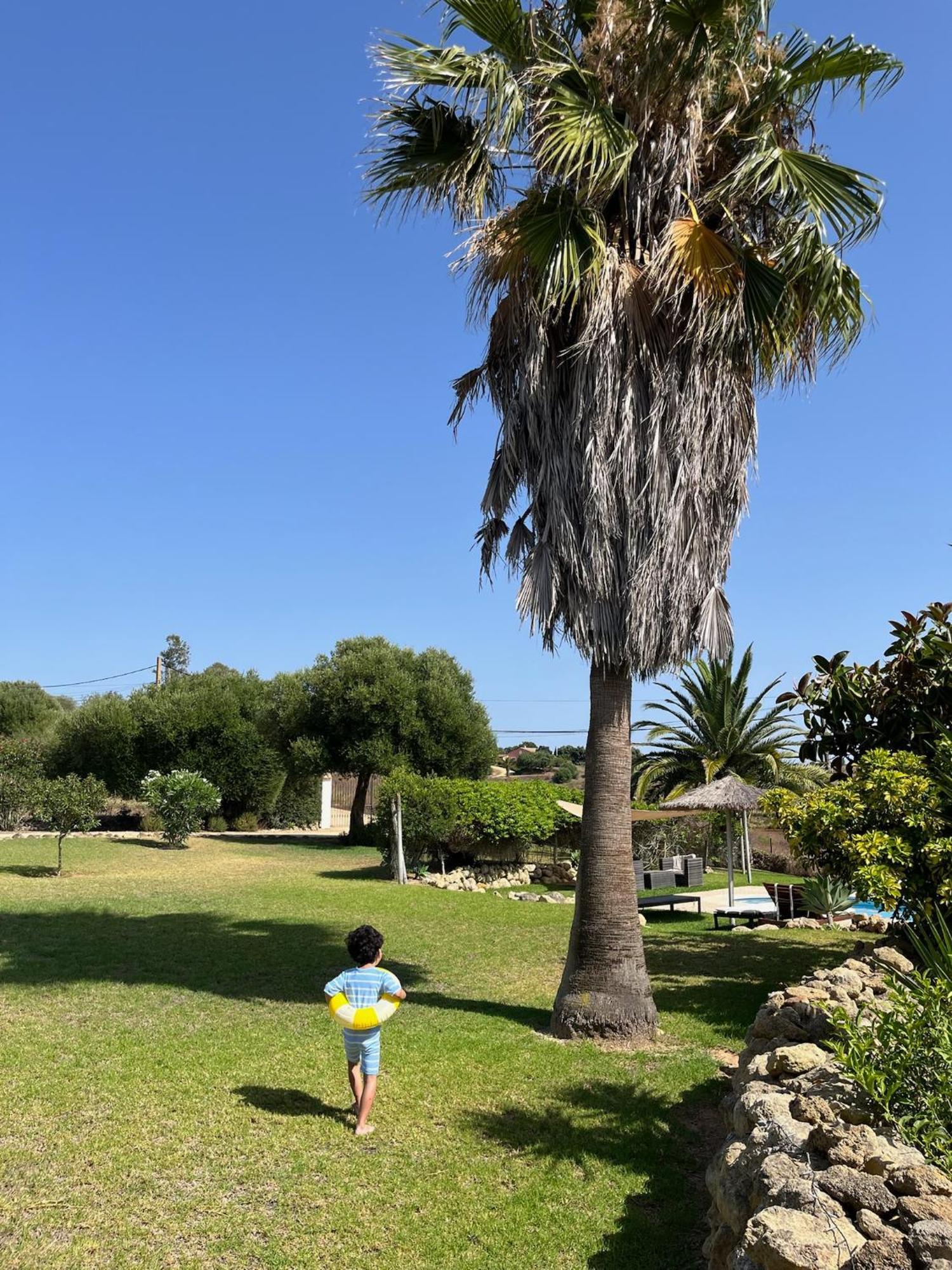 Finca La Vina Villa Vejer de la Frontera Buitenkant foto