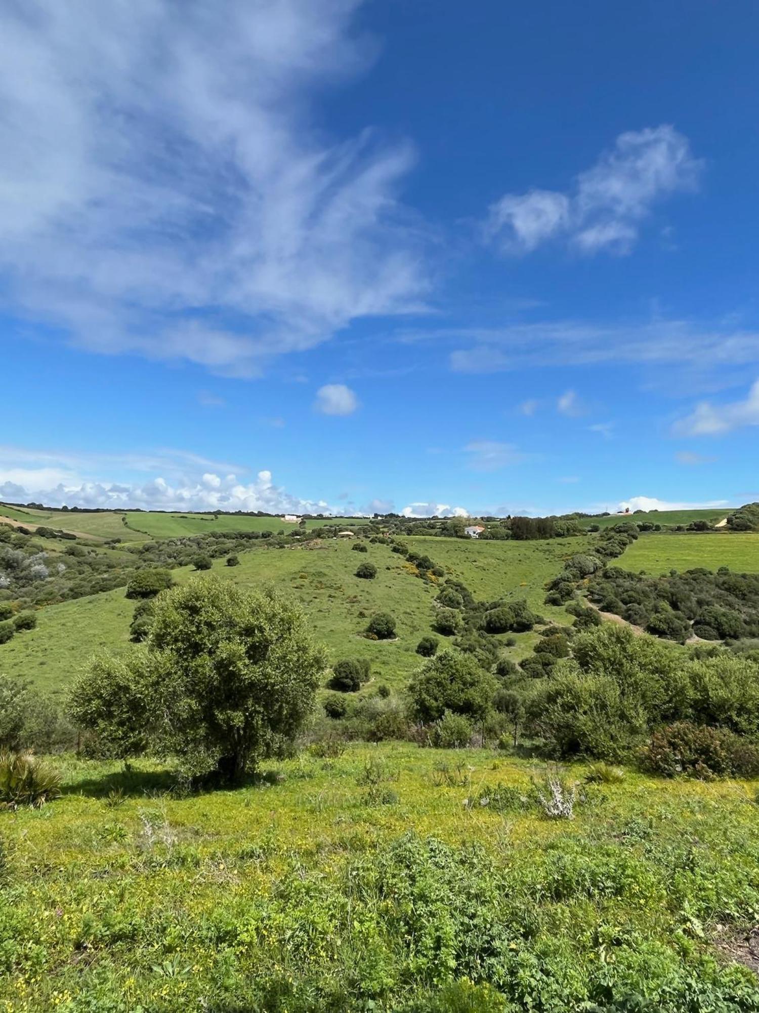 Finca La Vina Villa Vejer de la Frontera Buitenkant foto