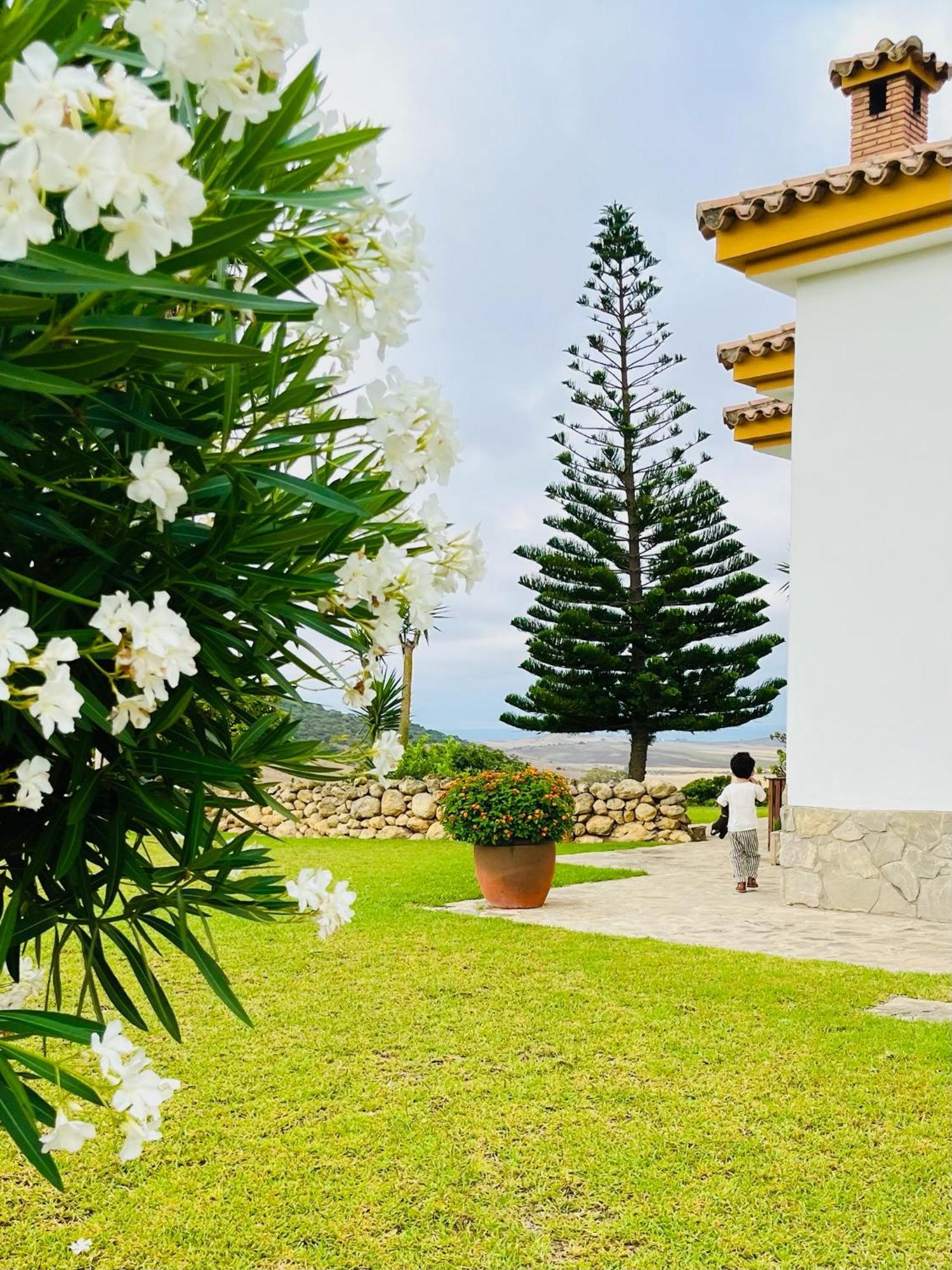 Finca La Vina Villa Vejer de la Frontera Buitenkant foto