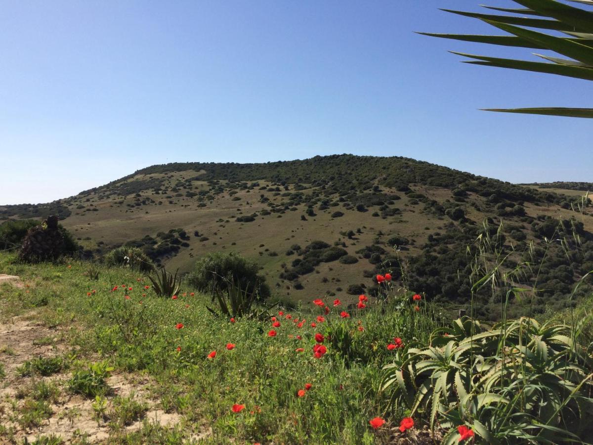 Finca La Vina Villa Vejer de la Frontera Buitenkant foto